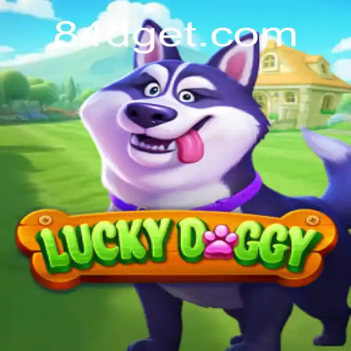 84D.com Casino App